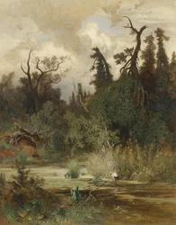 Sommer i alluvialskov
